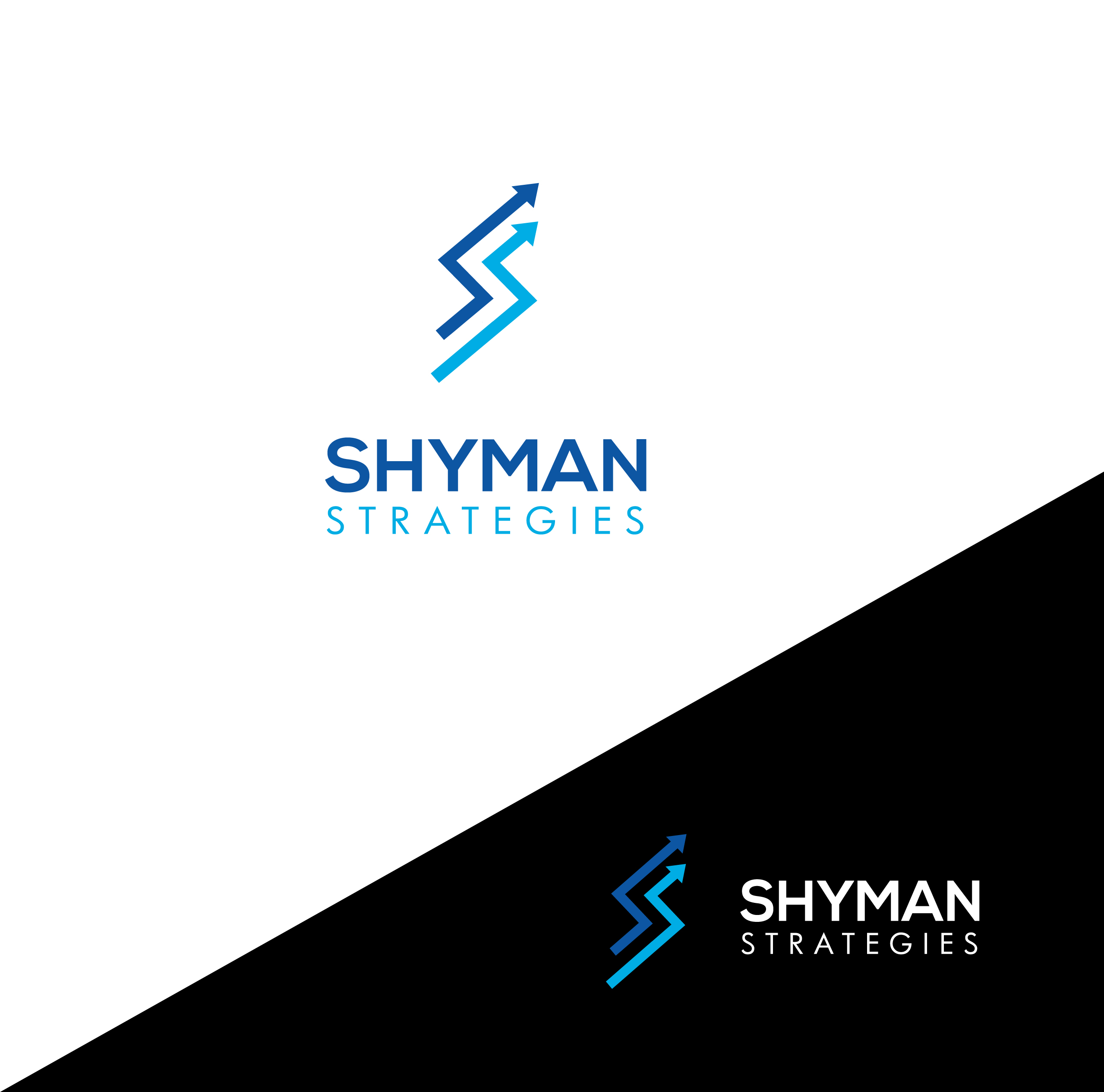 Logo Design by hoaihoai for this project | Design #26947911