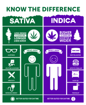 Flyer Design by exoddinary for this project | Design: #26921198