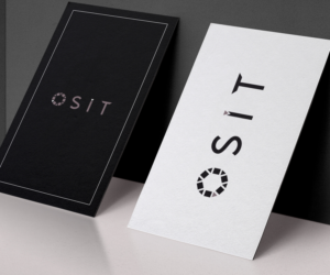 Design de Logo par ChicD pour ce projet | Design : #26955385