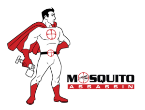 Mosquito Assassin Superhero Mascot | Diseño Con Ilustración por wanagaran