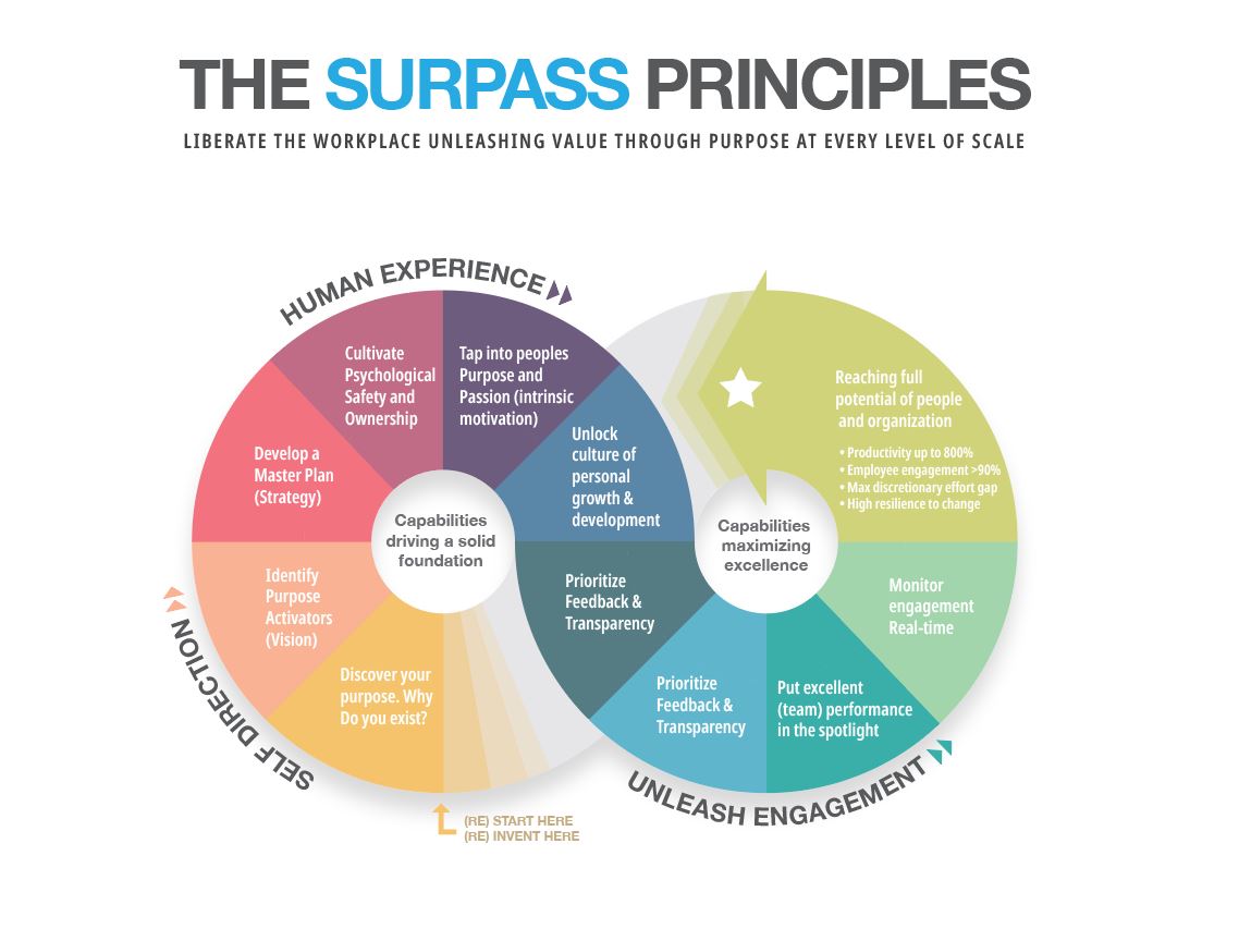 Grafik-Design von sherlock_h für dieses Projekt | Design #26936363