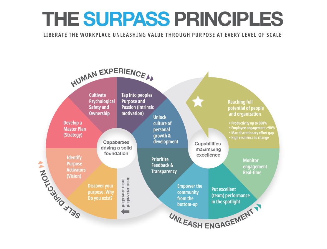 Grafik-Design von sherlock_h für dieses Projekt | Design #26966791