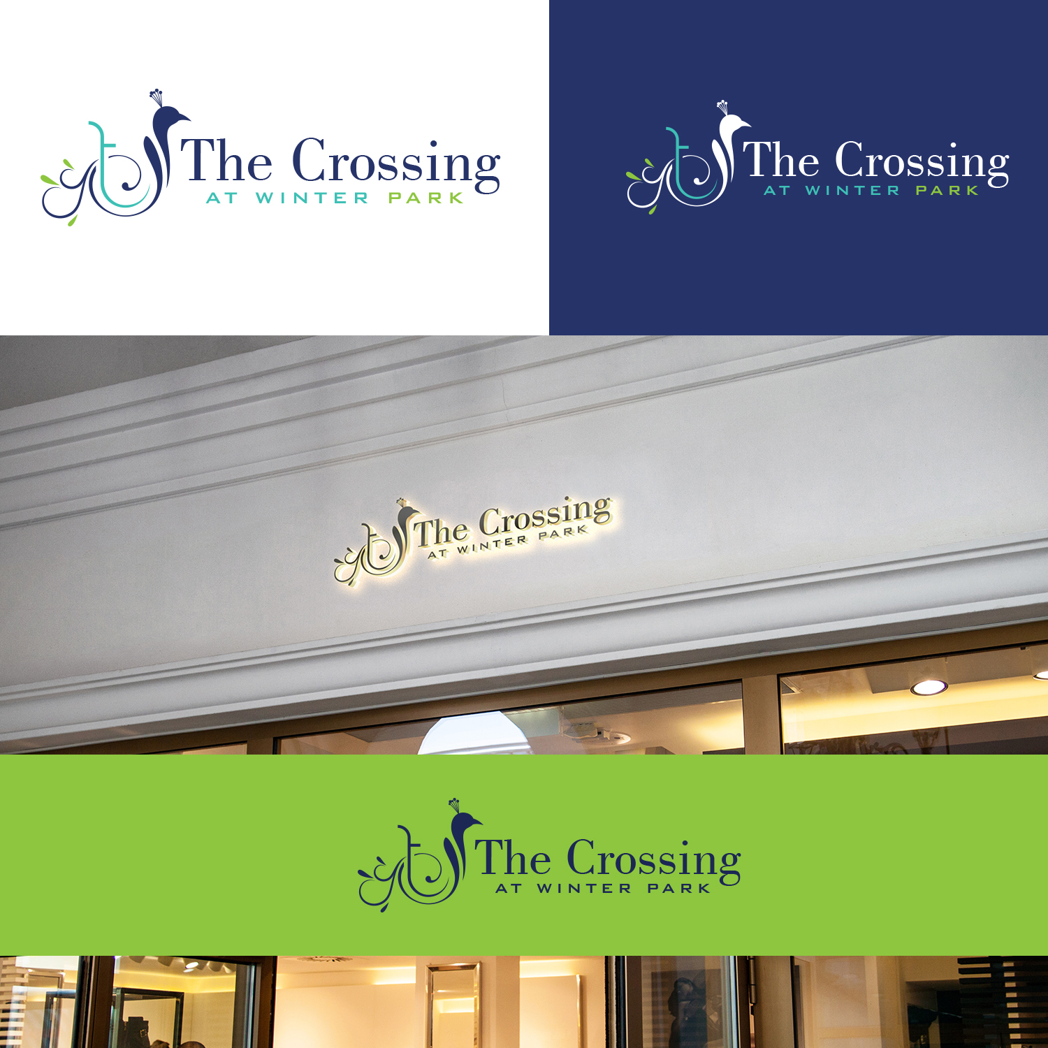 Logo Design by Maxo-Biz for this project | Design #26943087