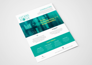 Esthetically Pleasing Core Values and Brand Promise for Accounting Firm | Flyer Design by espacio_M