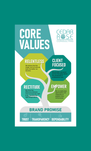 Esthetically Pleasing Core Values and Brand Promise for Accounting Firm | Flyer Design by Benson M.