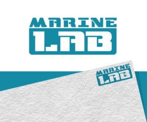 Logo Design by Jay Design
