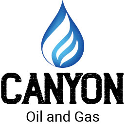 Logo Design by Rupok 3