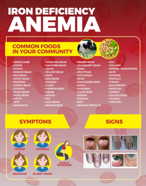 iron deficiency anemia - educational reference paper | Diseño de Póster por Zhor Signatures