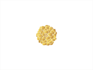 [no language on logo] | Logo-Design von cjssan