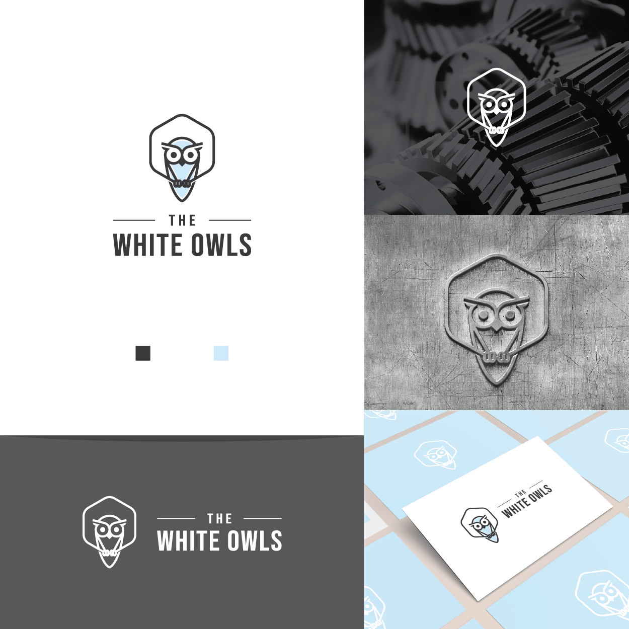 Diseño de Logo por TerryBogard para este proyecto | Diseño #26957676