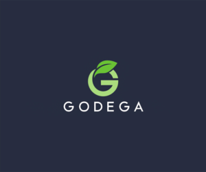 Logo Design by Vishak vasu