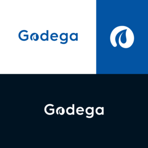 Logo Design by Xler8brain