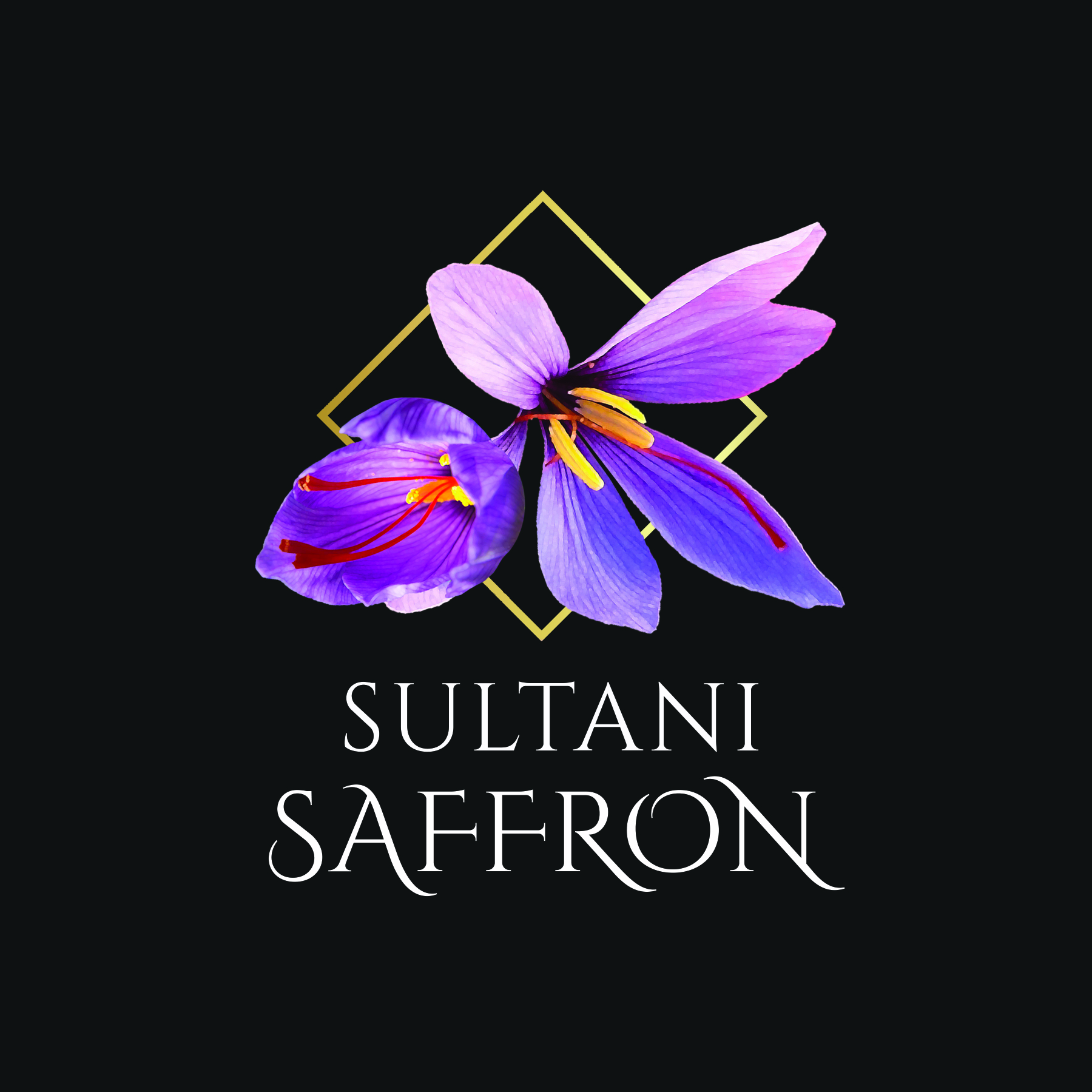 Logo Design by Neelam Jahagirdar for this project | Design #26984367