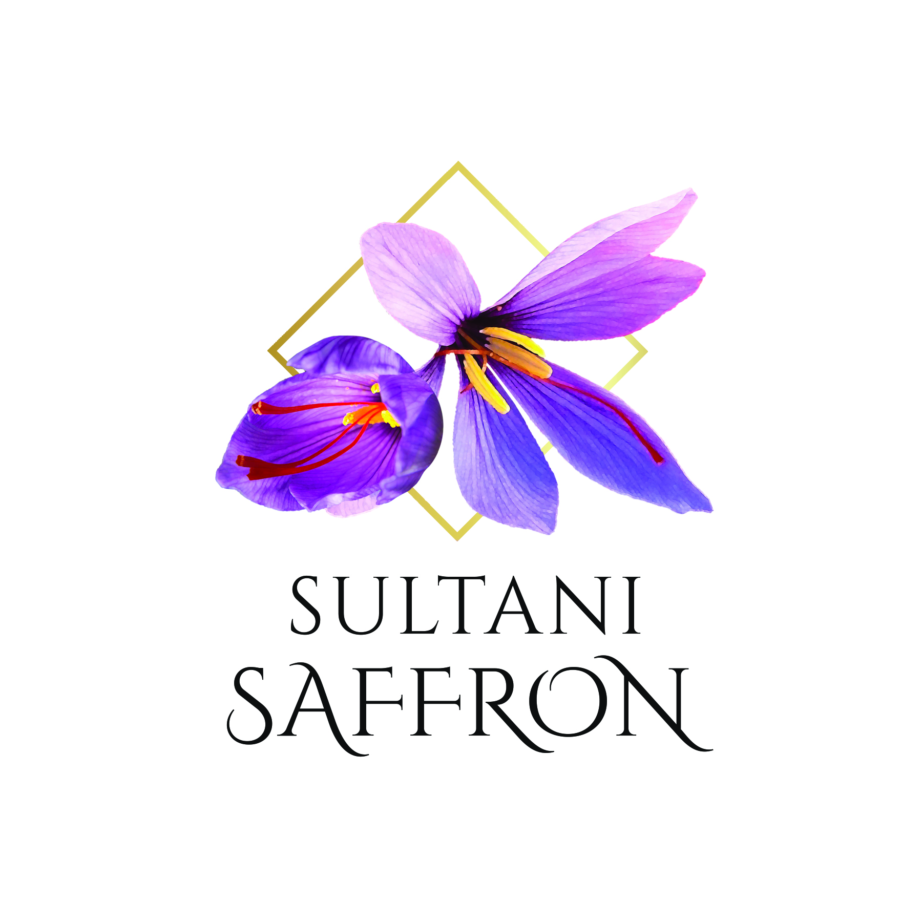 Logo Design by Neelam Jahagirdar for this project | Design #26984369