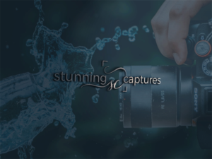 Logo Design by Deziners Zone for this project | Design: #26967218