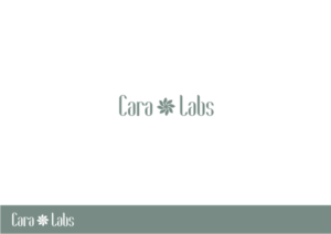 Logo Design by Amduat Design for this project | Design: #26970187