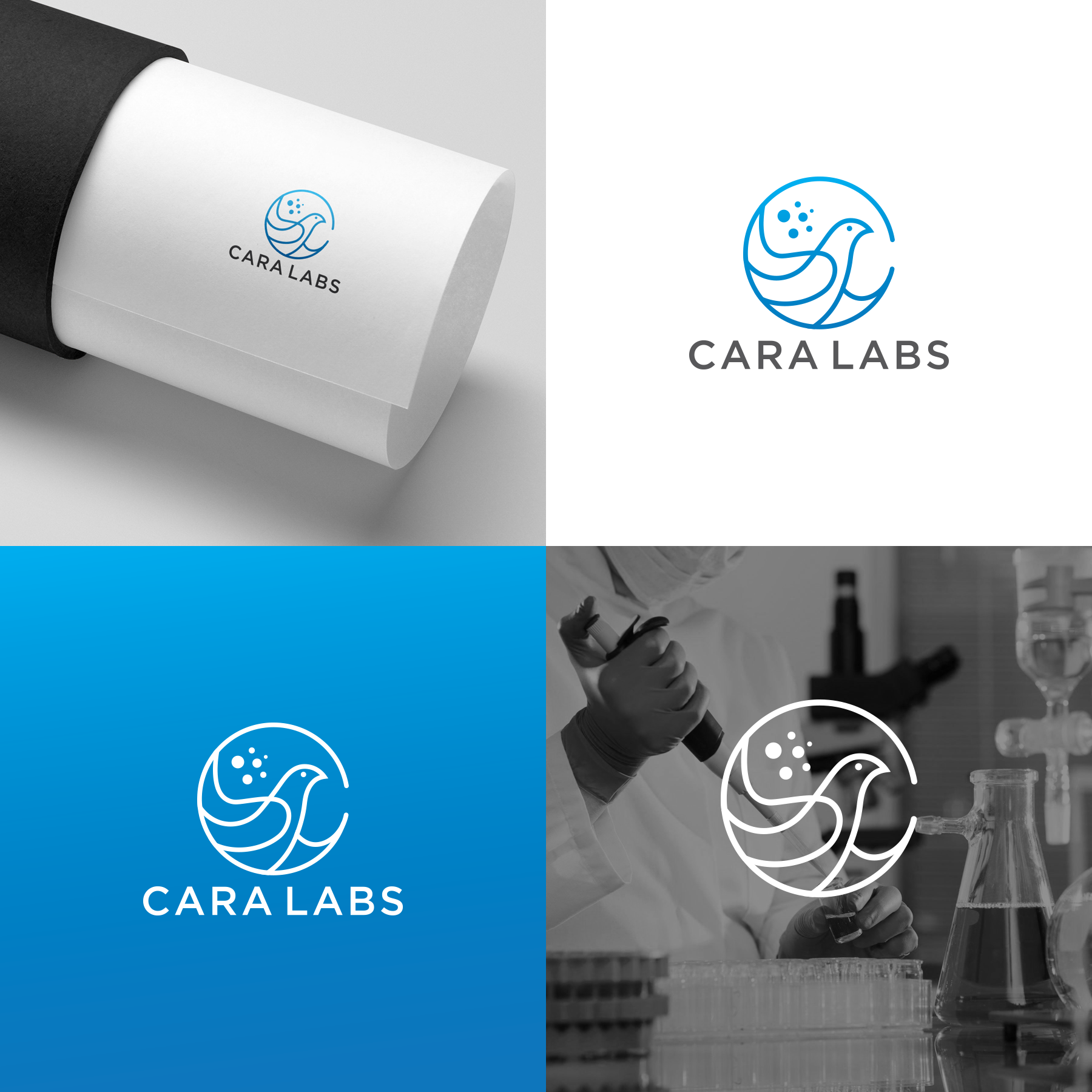 Diseño de Logo por ZinKo para este proyecto | Diseño #27000222