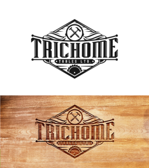 Logo Design by PsyPen