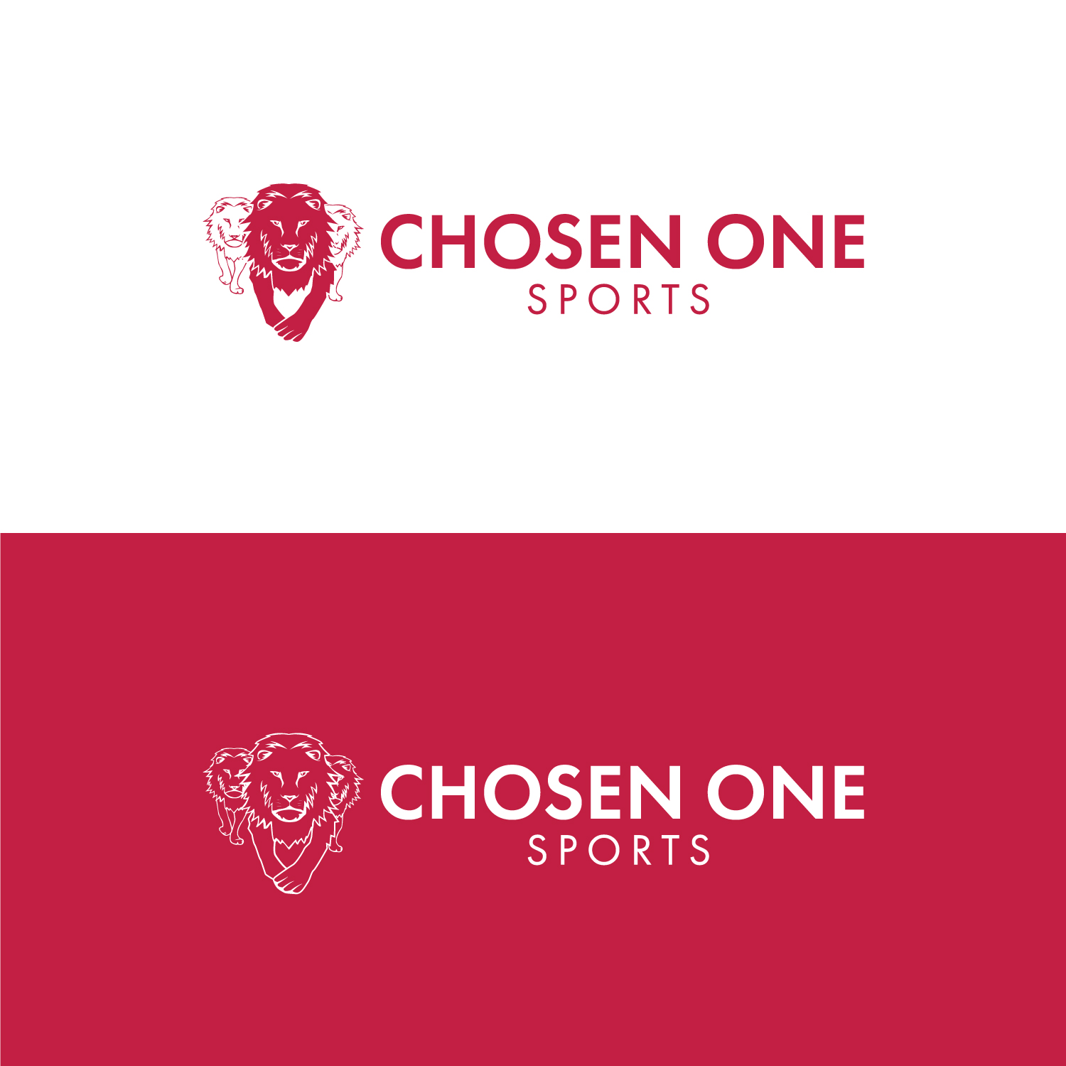 Design de Logo par Maxo-Biz pour ce projet | Design #26995876
