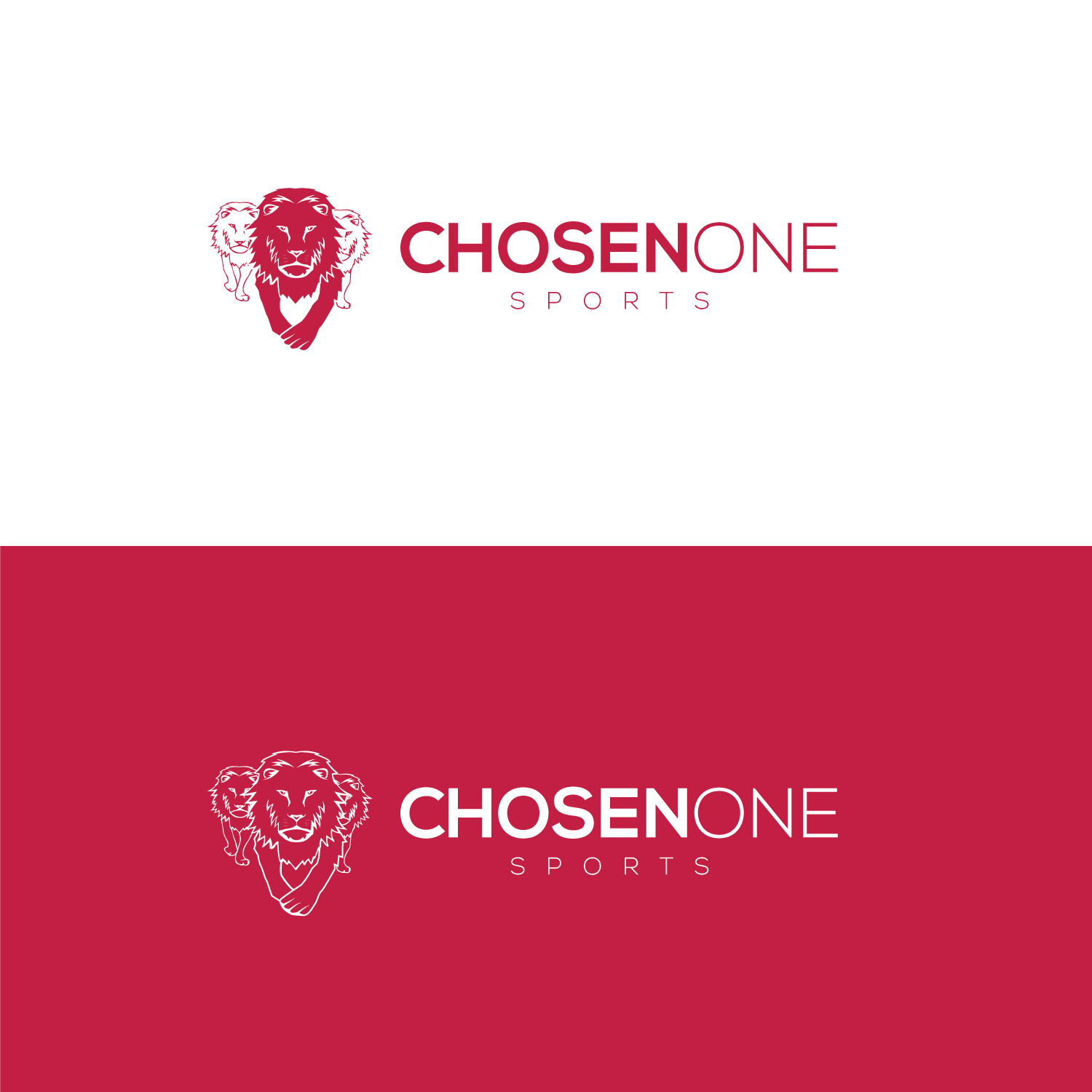 Design de Logo par Maxo-Biz pour ce projet | Design #26995877