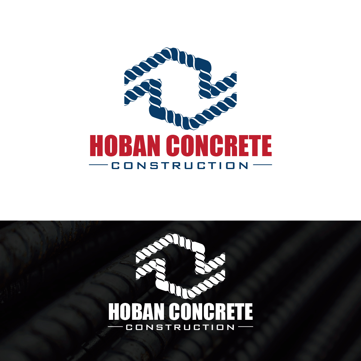 Logo Design by Deziners Zone for this project | Design #26986156