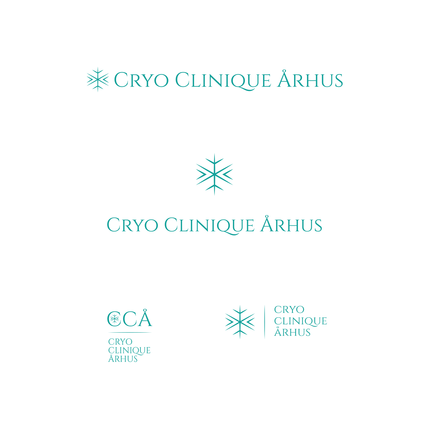 Logo Design by Oleksandr Tovarkov for Dalgus Consult ApS | Design #26990922