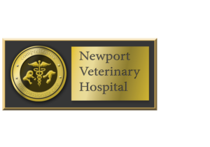 Logo Design by Peter 20 for this project | Design #27016692