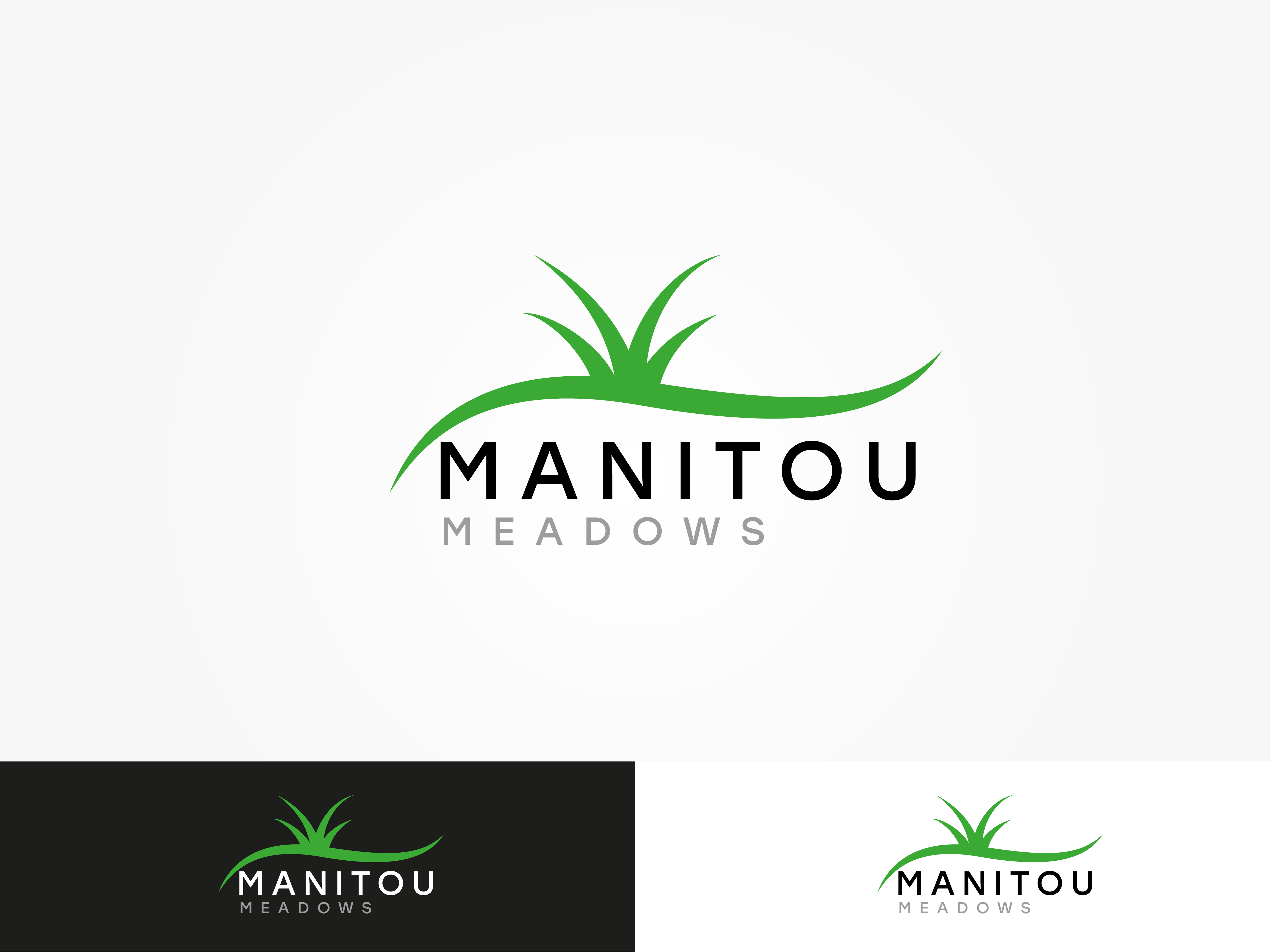 Diseño de Logo por Jet-D para este proyecto | Diseño #27027929
