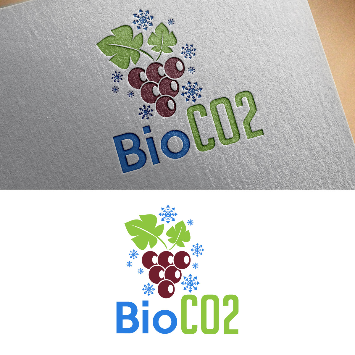 Logo Design by Graphic Bricks for BioCO2 Trockeneis AG | Design #26996307