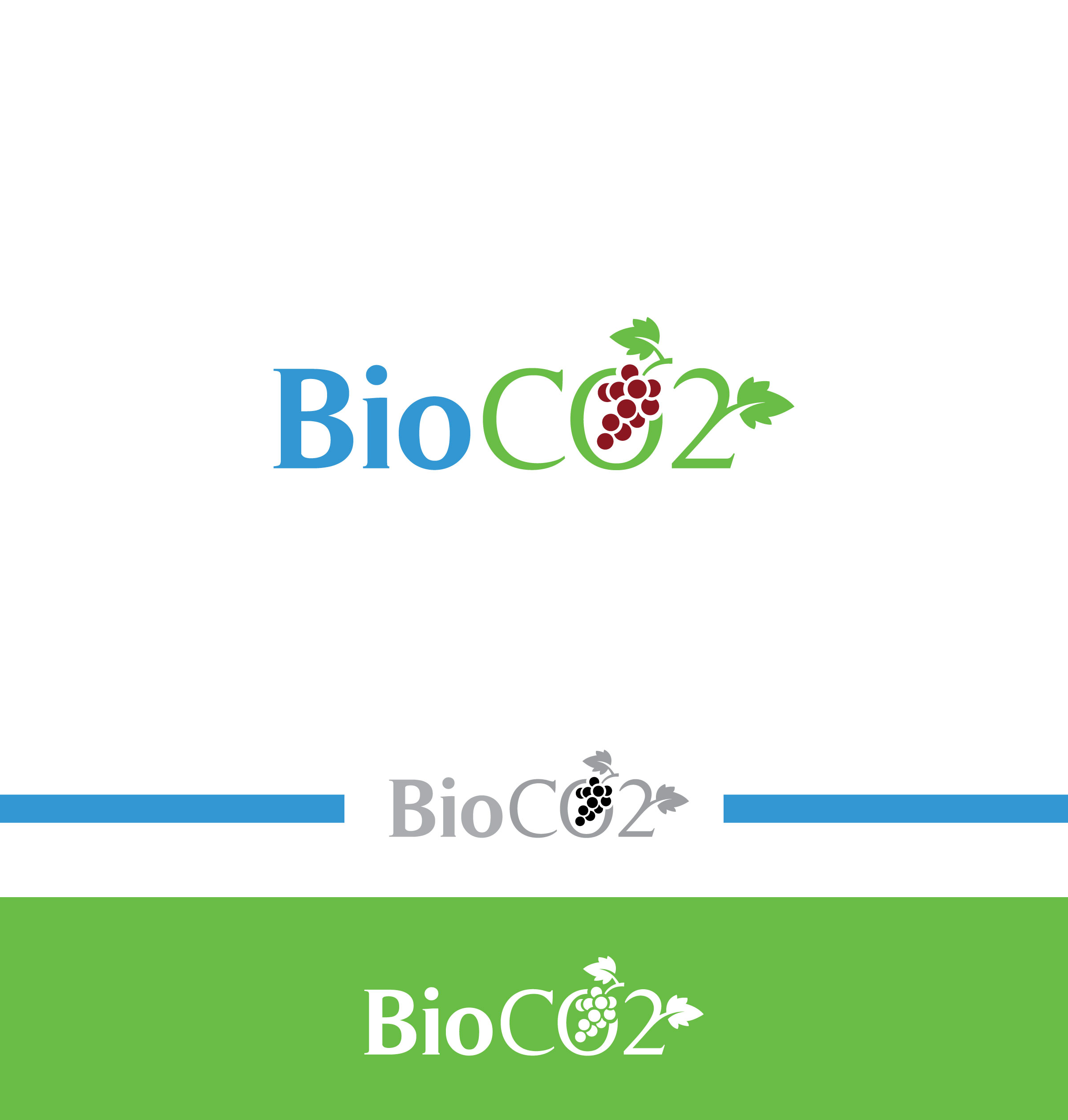 Diseño de Logo por ecorokerz para BioCO2 Trockeneis AG | Diseño #26996529