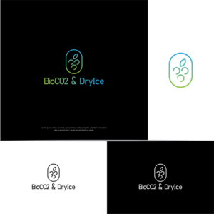 We want to show "CO2" written like this, then we would need to have the Colours green for the CO2 and blue for the cold of dry ice, then snow flakes for dry ice snow, just as an idea. | Logo Design by dumx