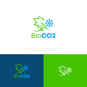 We want to show "CO2" written like this, then we would need to have the Colours green for the CO2 and blue for the cold of dry ice, then snow flakes for dry ice snow, just as an idea. | Logo Design by mintcreative