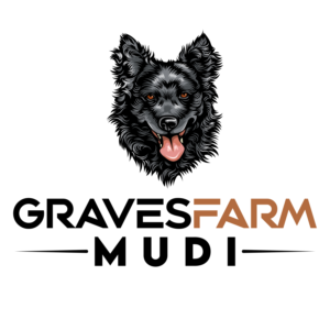 Logo Design by ARTchemist