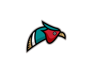 Ringneck Pheasant School Mascot | Graphic Design by Buck Tornado