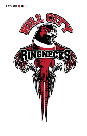 Ringneck Pheasant School Mascot | Graphic Design by ally designs