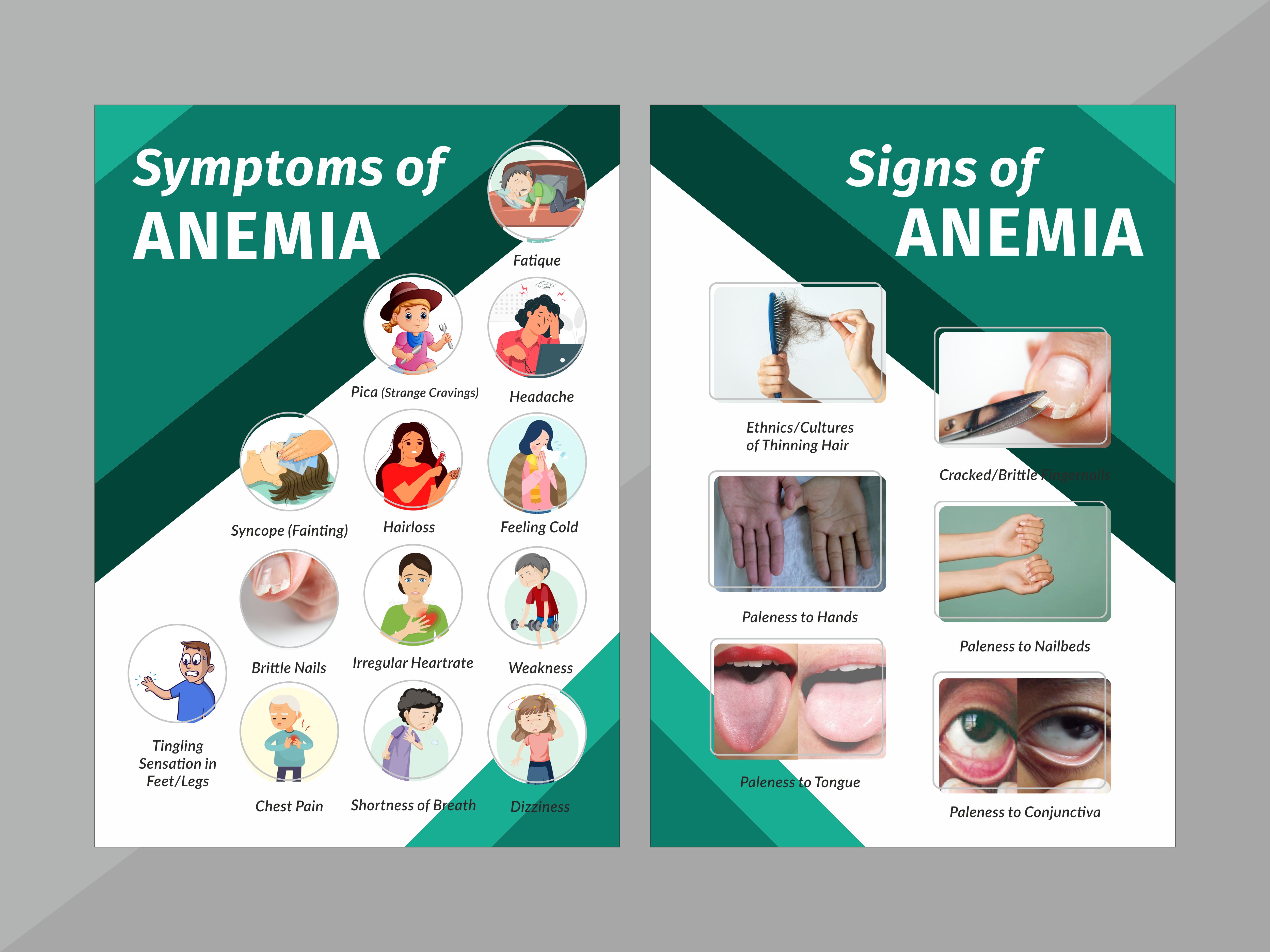 Flyer Design by Fine Graphics House for this project | Design #27016572