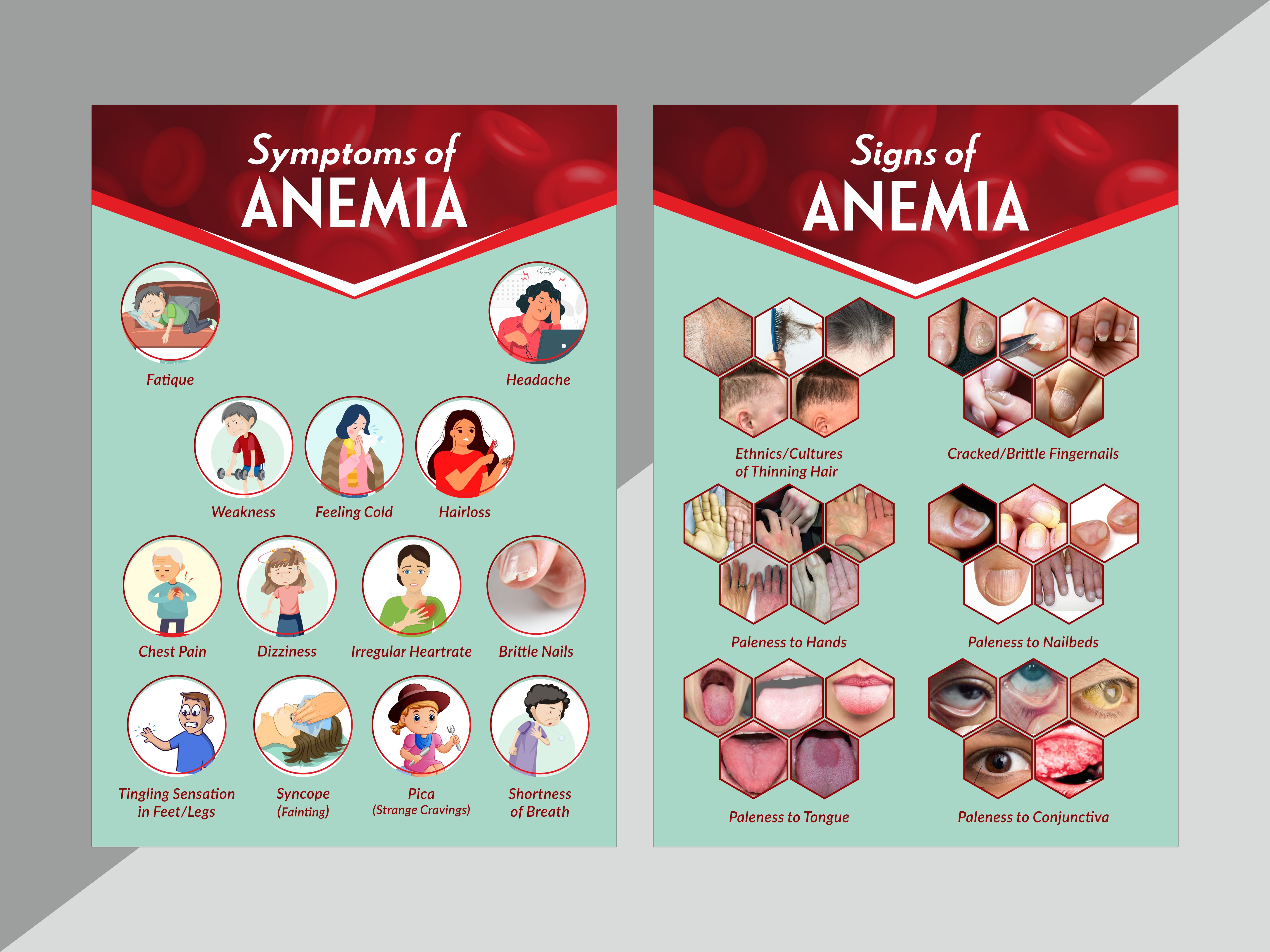 Flyer-Design von Fine Graphics House für dieses Projekt | Design #27026288