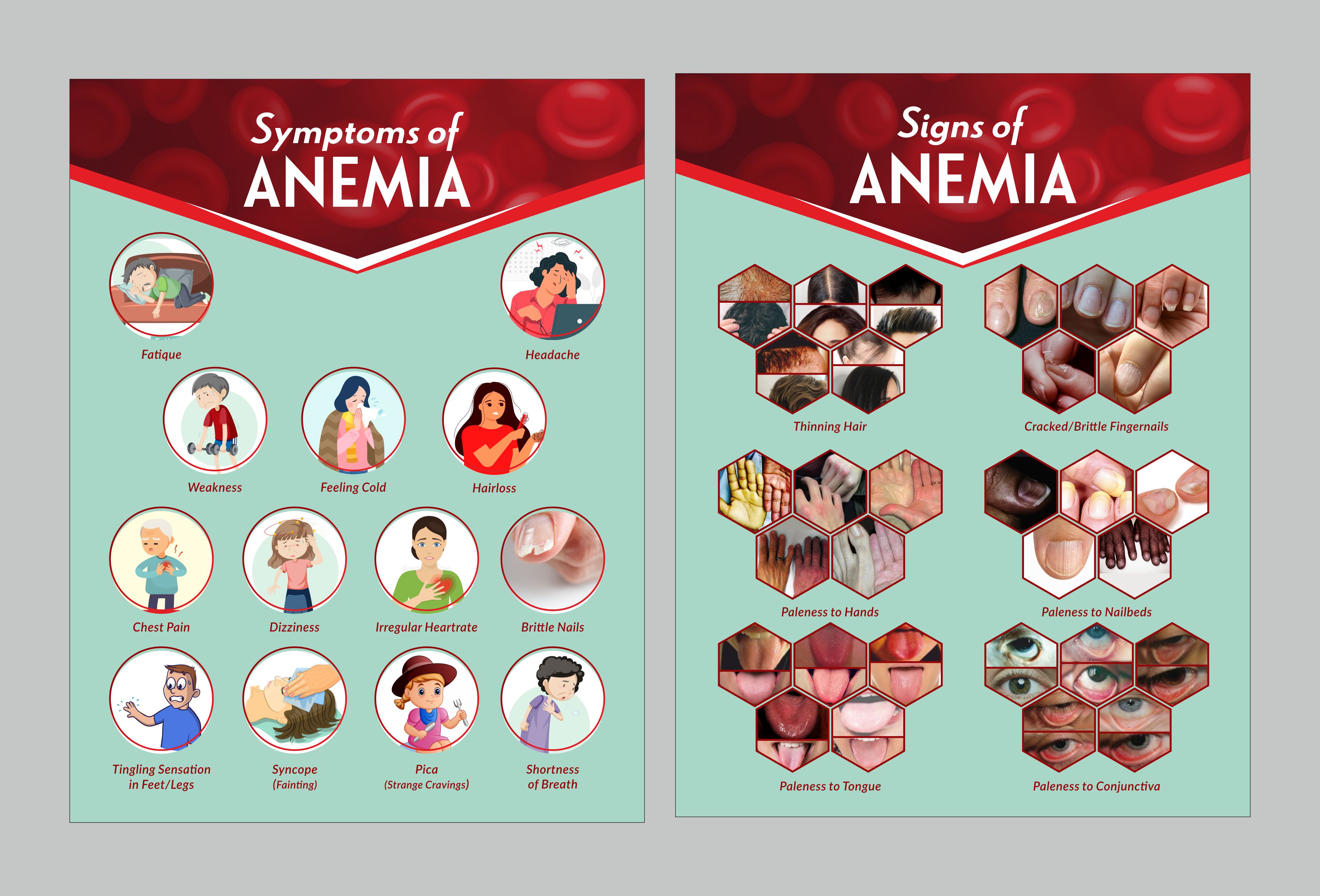 Flyer Design by Fine Graphics House for this project | Design #27131144