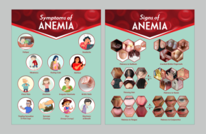 Flyer Design by Fine Graphics House for this project | Design: #27145962