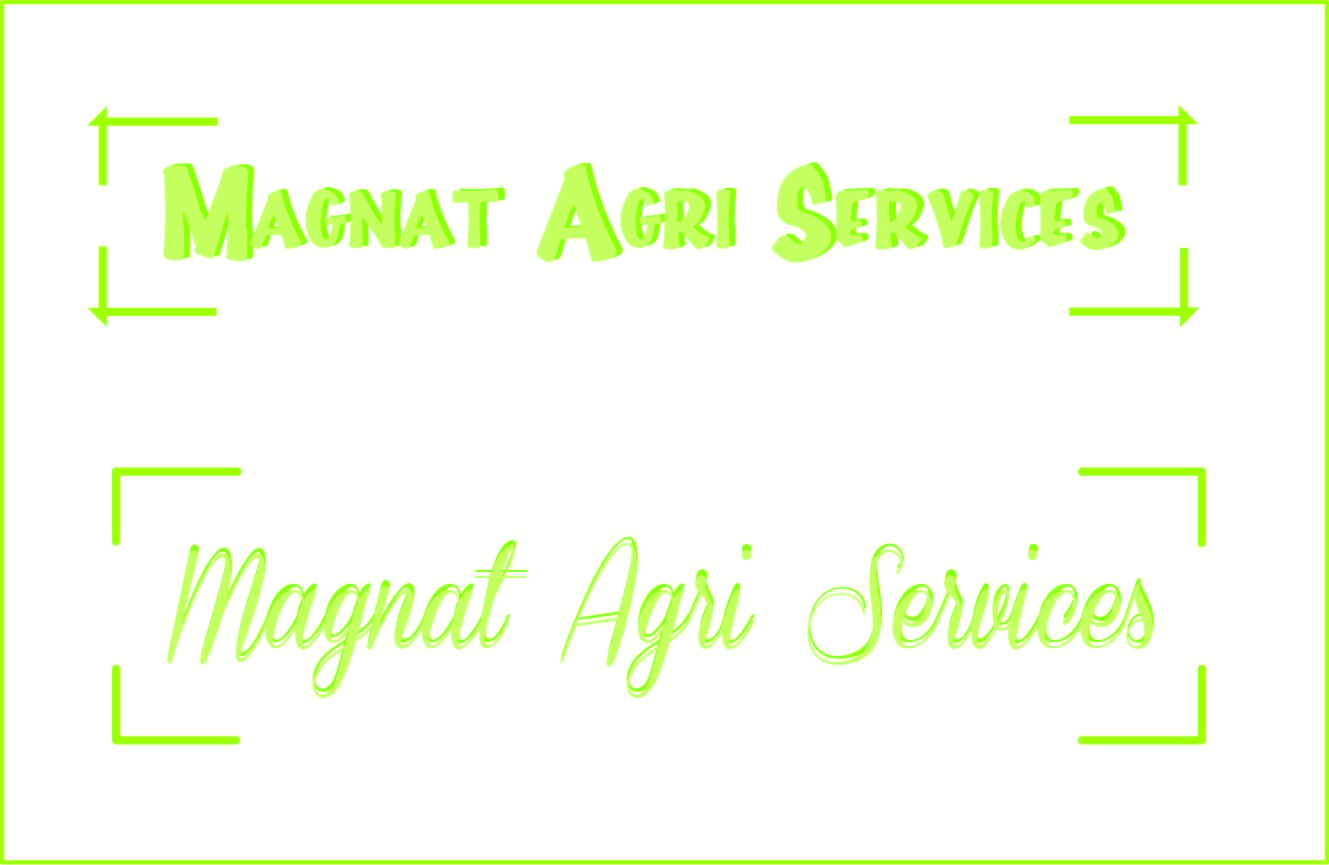 Logo Design by mexicanhairlessdesign for this project | Design #3063407