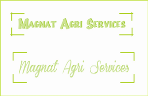 Logo Design by mexicanhairlessdesign