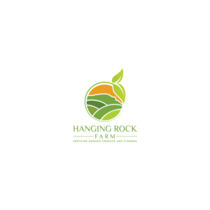 Logo Design by NOMLAS