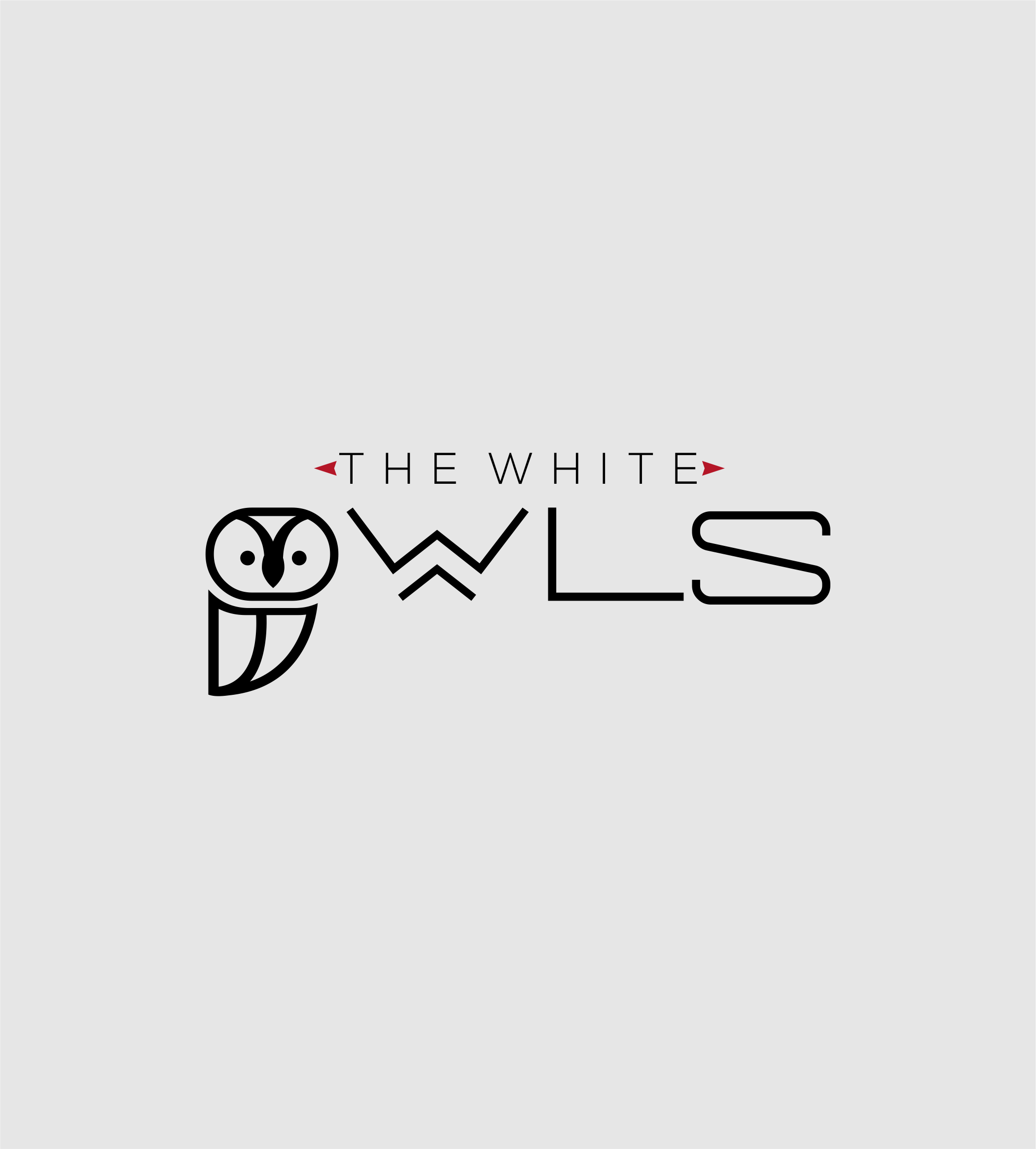 Logo Design by Jose Loaiza for this project | Design #27013189