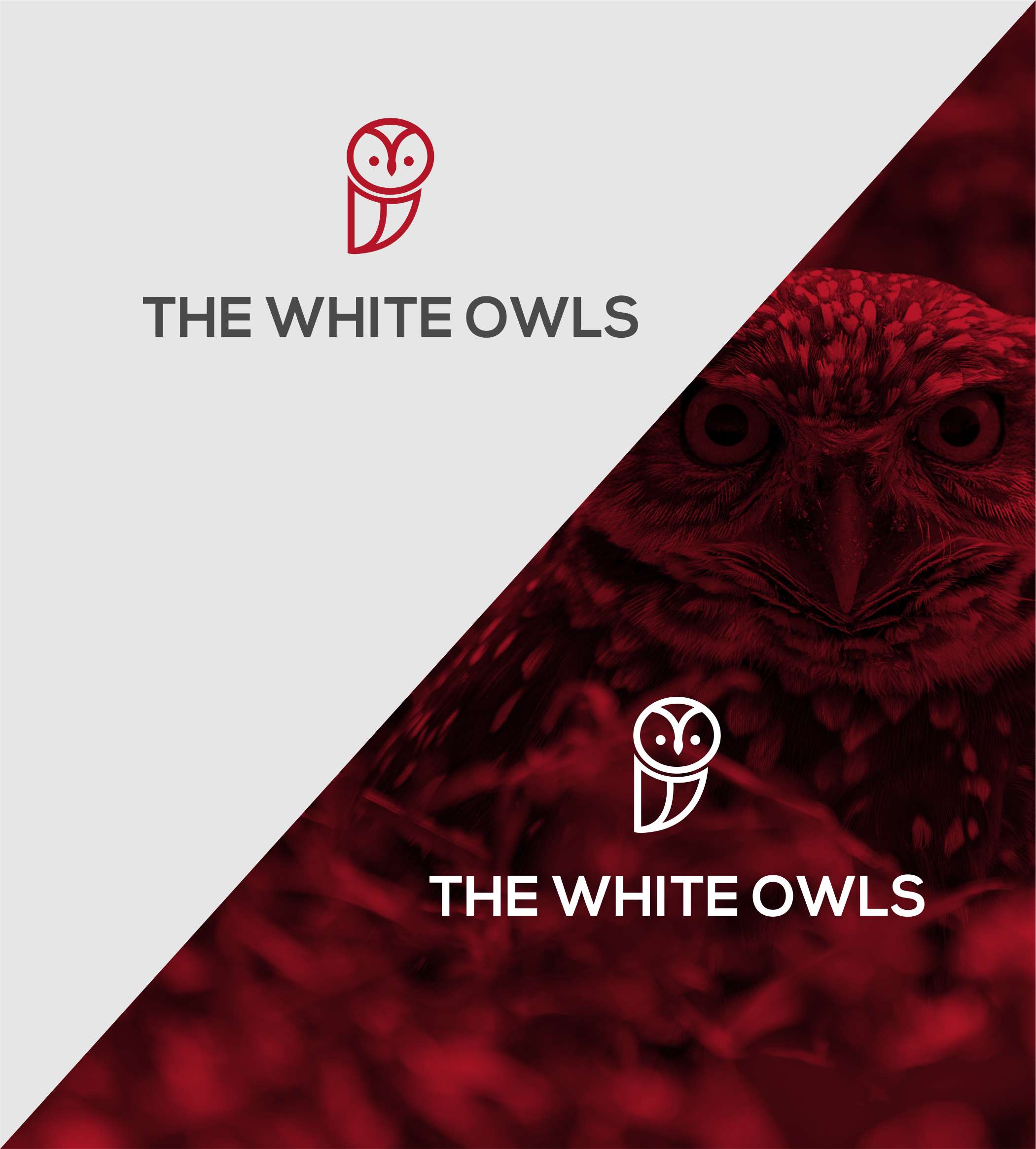 Logo Design by Jose Loaiza for this project | Design #27017353