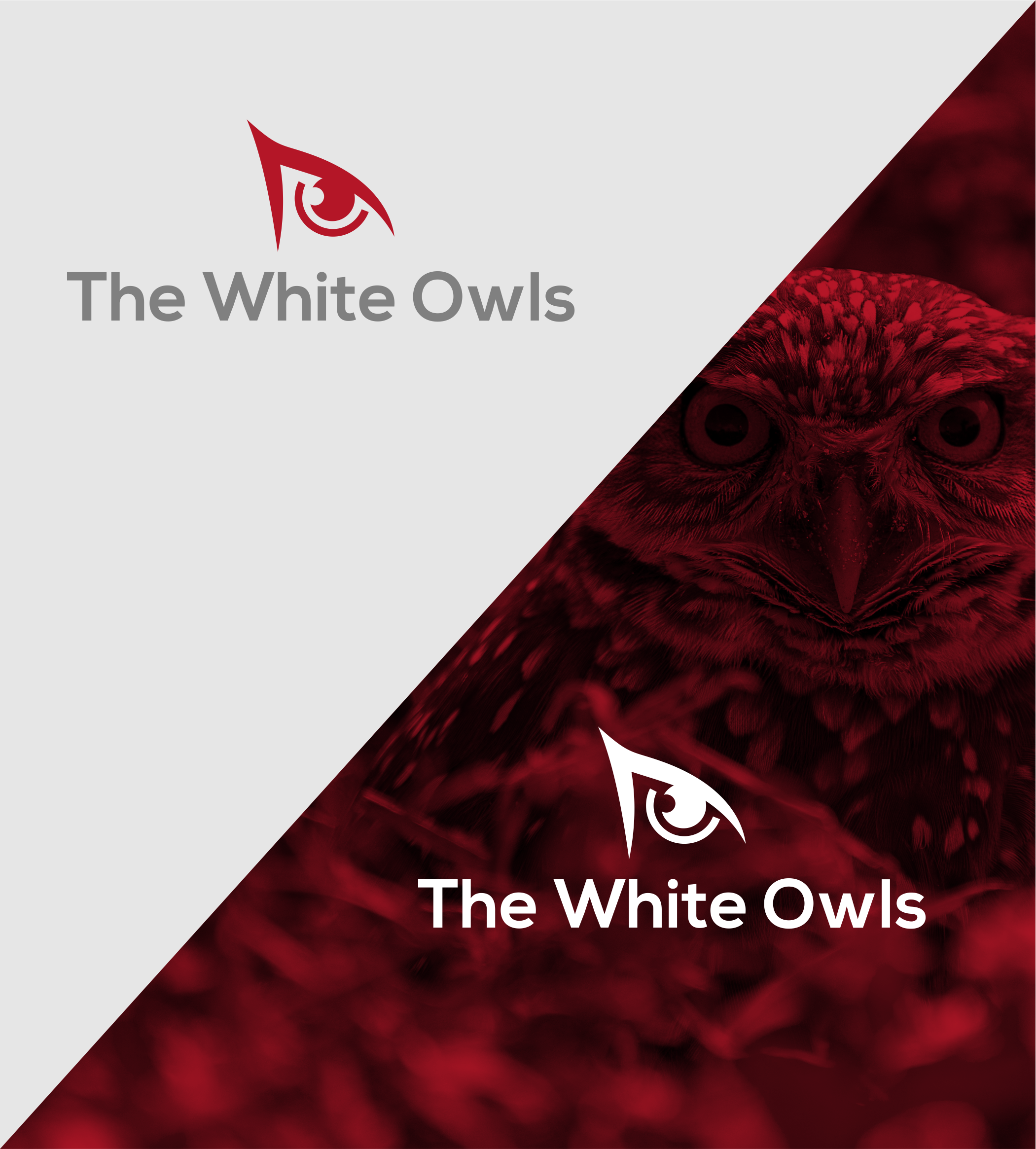 Logo Design by Jose Loaiza for this project | Design #27017424