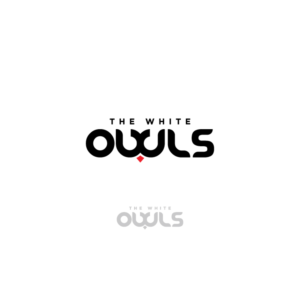 Logo Design by Lykos for this project | Design: #27017906