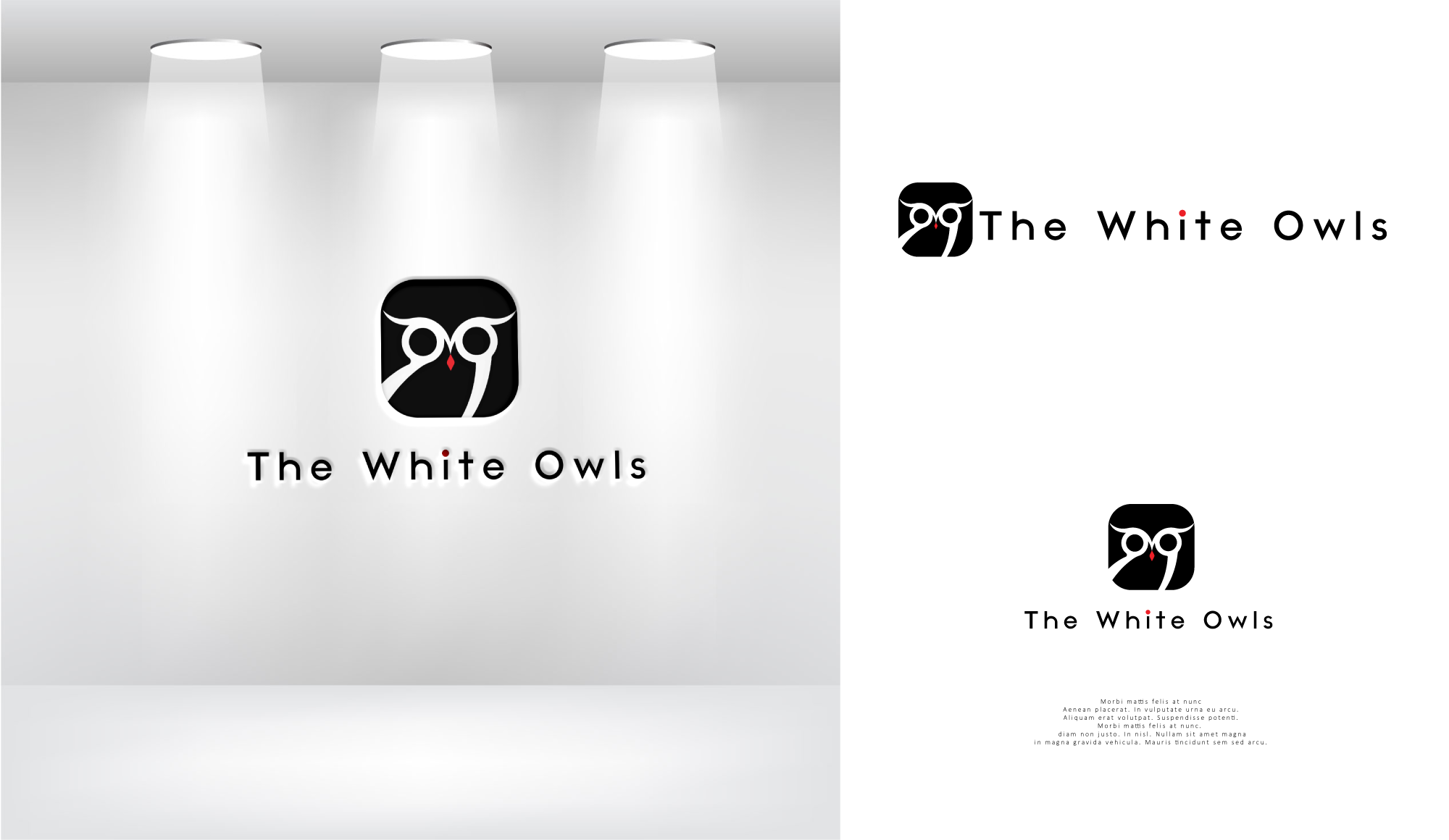 Logo Design by Alpha design for this project | Design #27023504