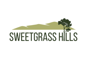 Logo Design by MT