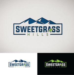 Design de Logo par StromDesignHub pour ce projet | Design #27019573