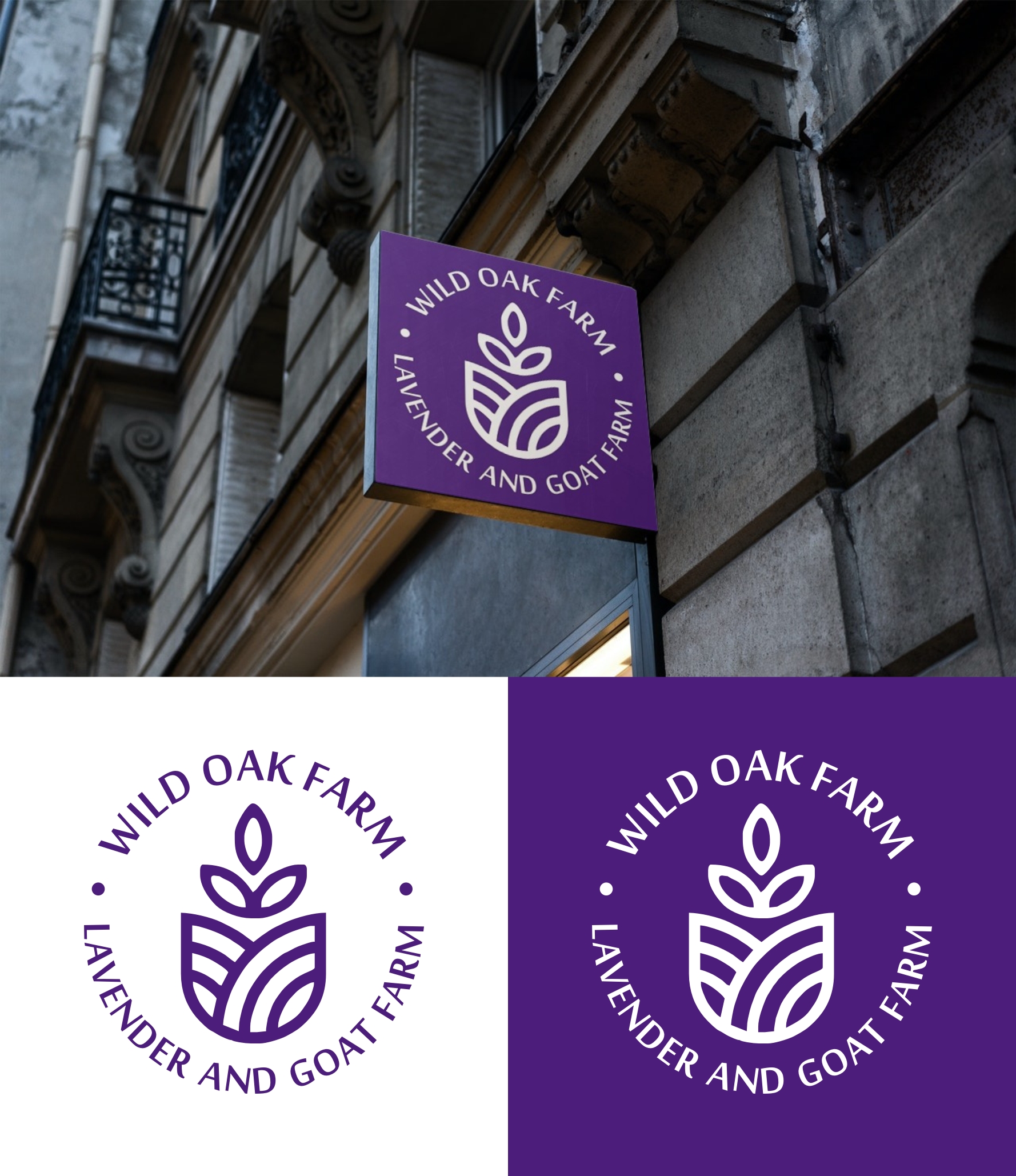 Logo Design by filip.jelkic for this project | Design #27051203